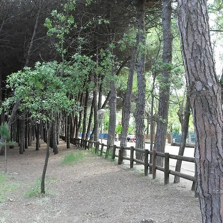 Clift Cervia