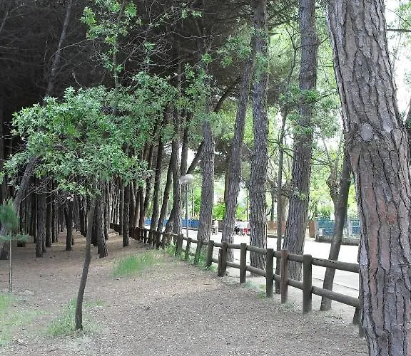 Clift Cervia
